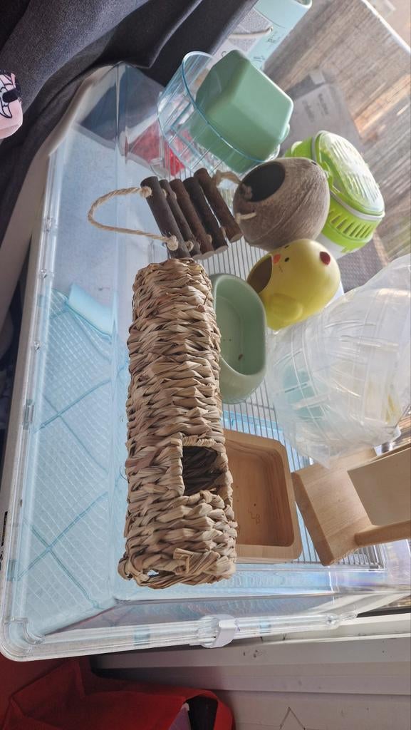Hamsterkoi +  accessoires, Ophalen of Verzenden