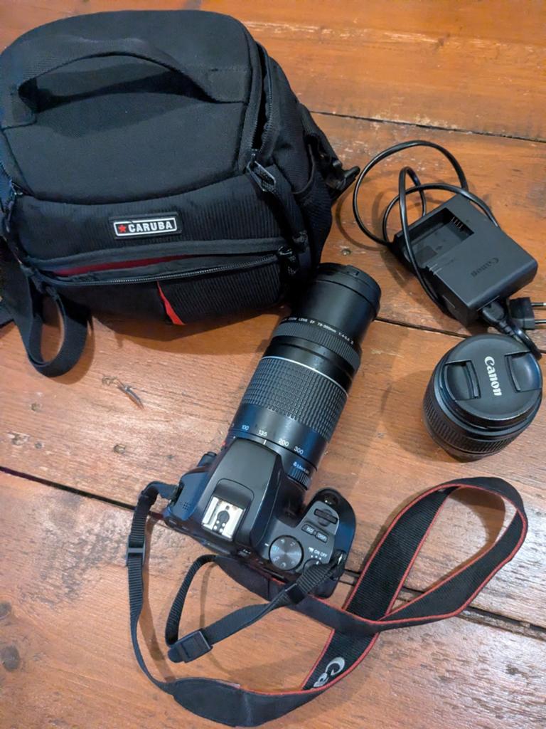 Canon EOS 250D Spiegelreflexcamera met 2 lenzen en tas, Ophalen, Gebruikt, Spiegelreflex, Canon