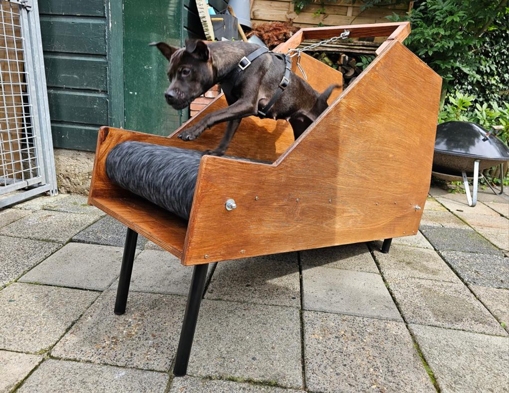 Carpetmill honden loopband treadmill, Ophalen