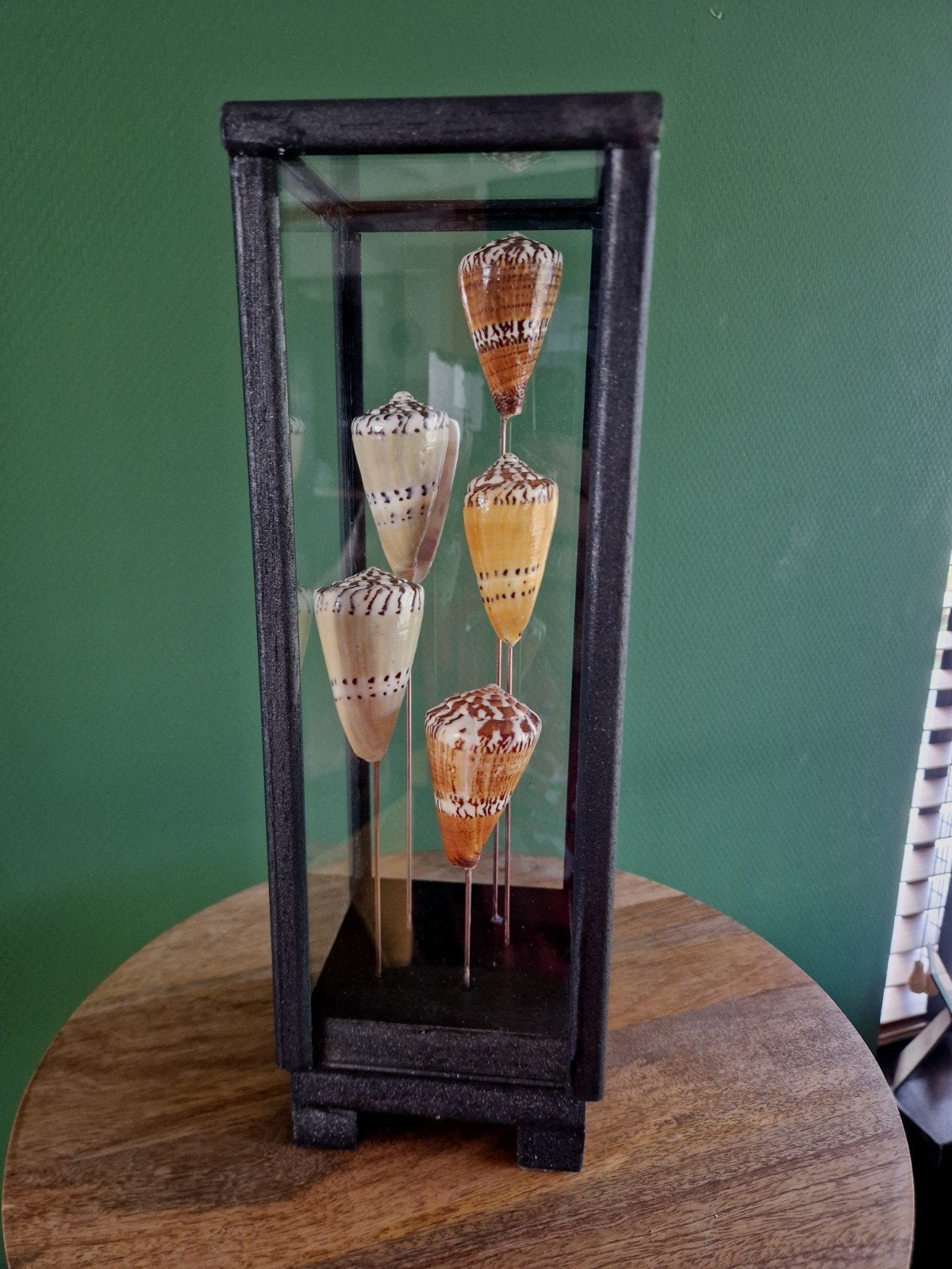 Decoratieve vitrine met schelpen, Ophalen