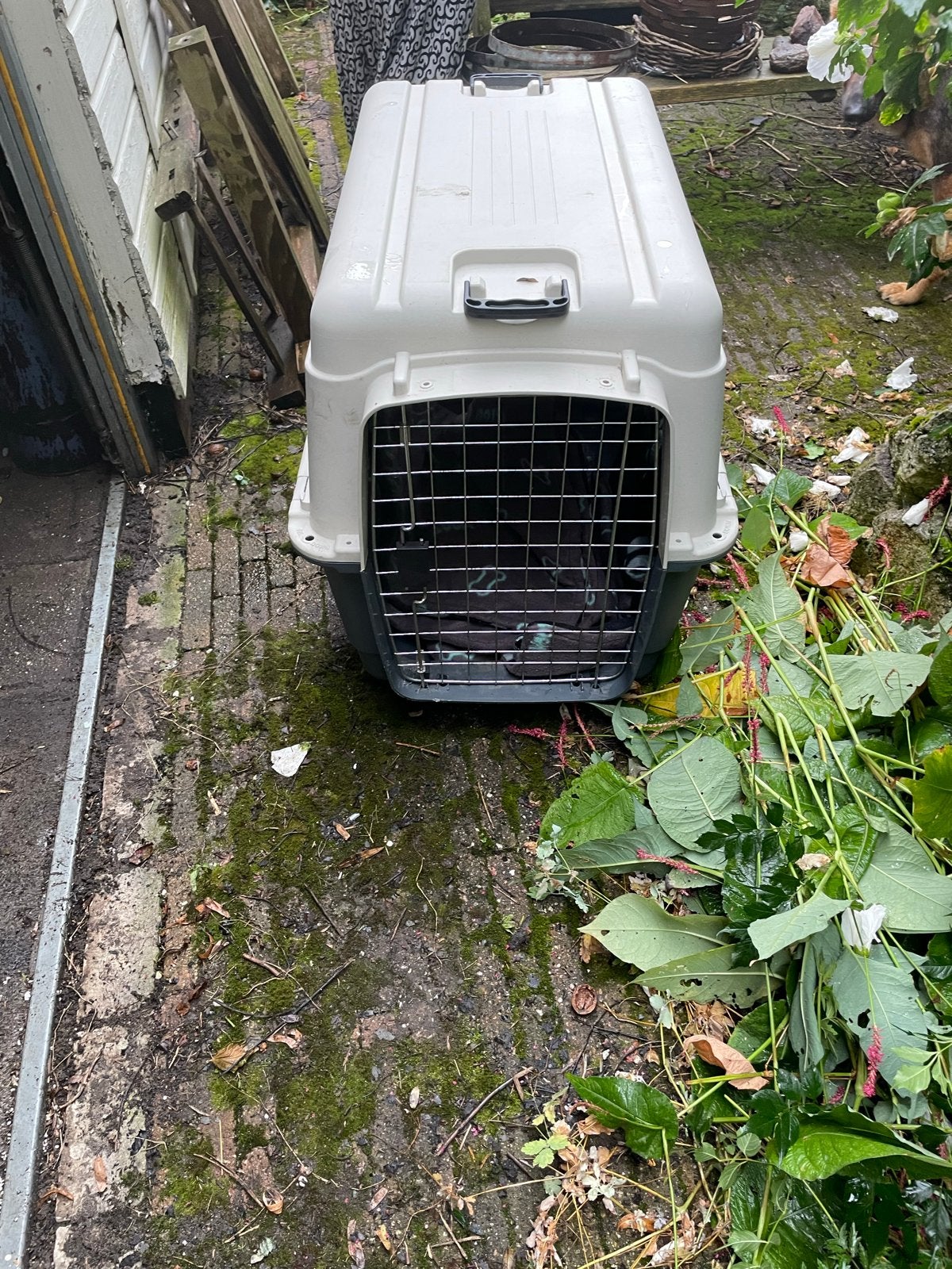 Te koop: transportbox vliegtuig voor hond, Dieren en Toebehoren, Ophalen, Zo goed als nieuw