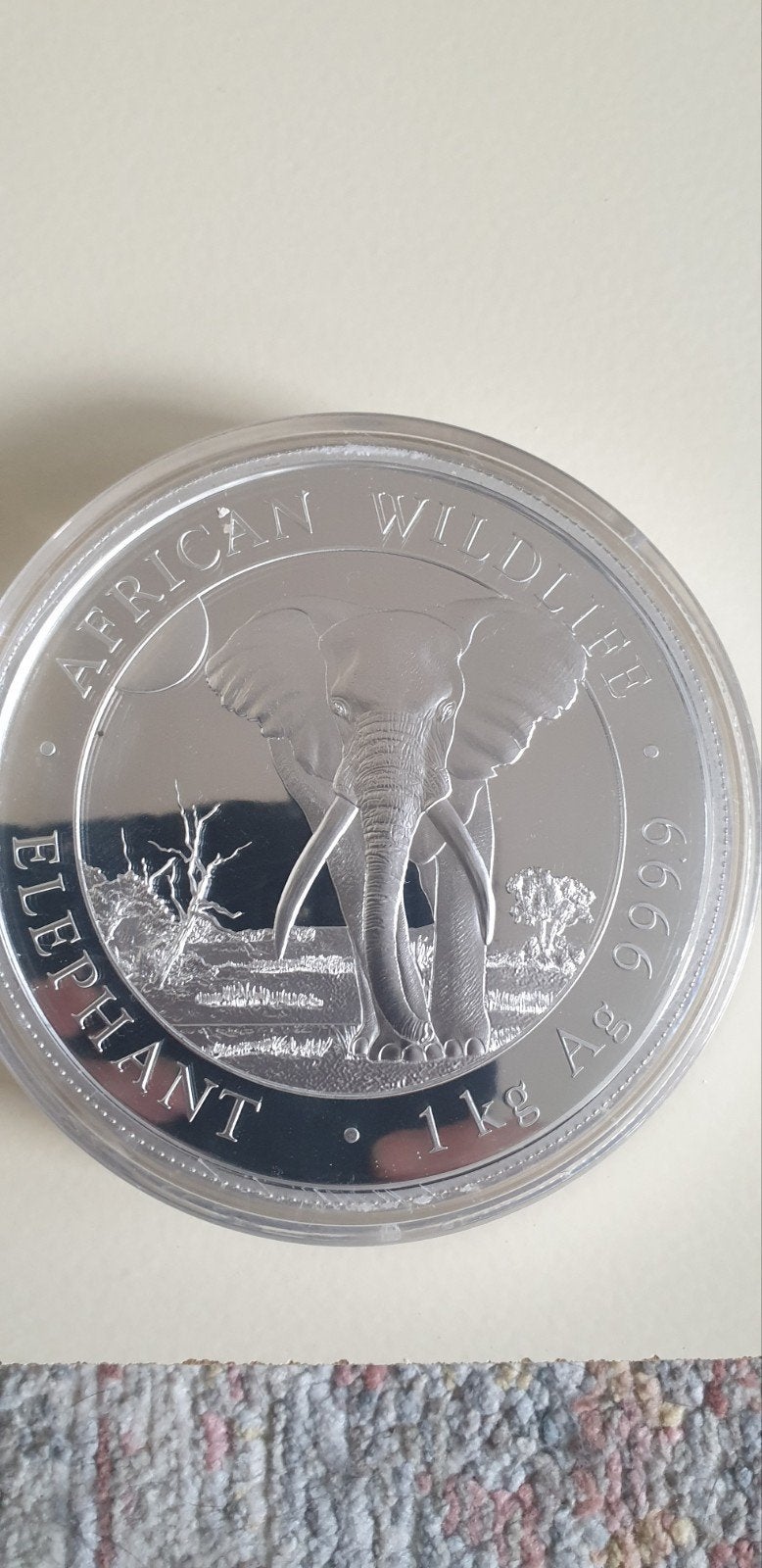 1 kg Zilveren Somalië Olifant Munt 2025, Ophalen of Verzenden