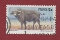 Fauna - Dieren - Kaffer-buffel -S.W.A. - gebr, Verzenden, Gestempeld, Dier of Natuur