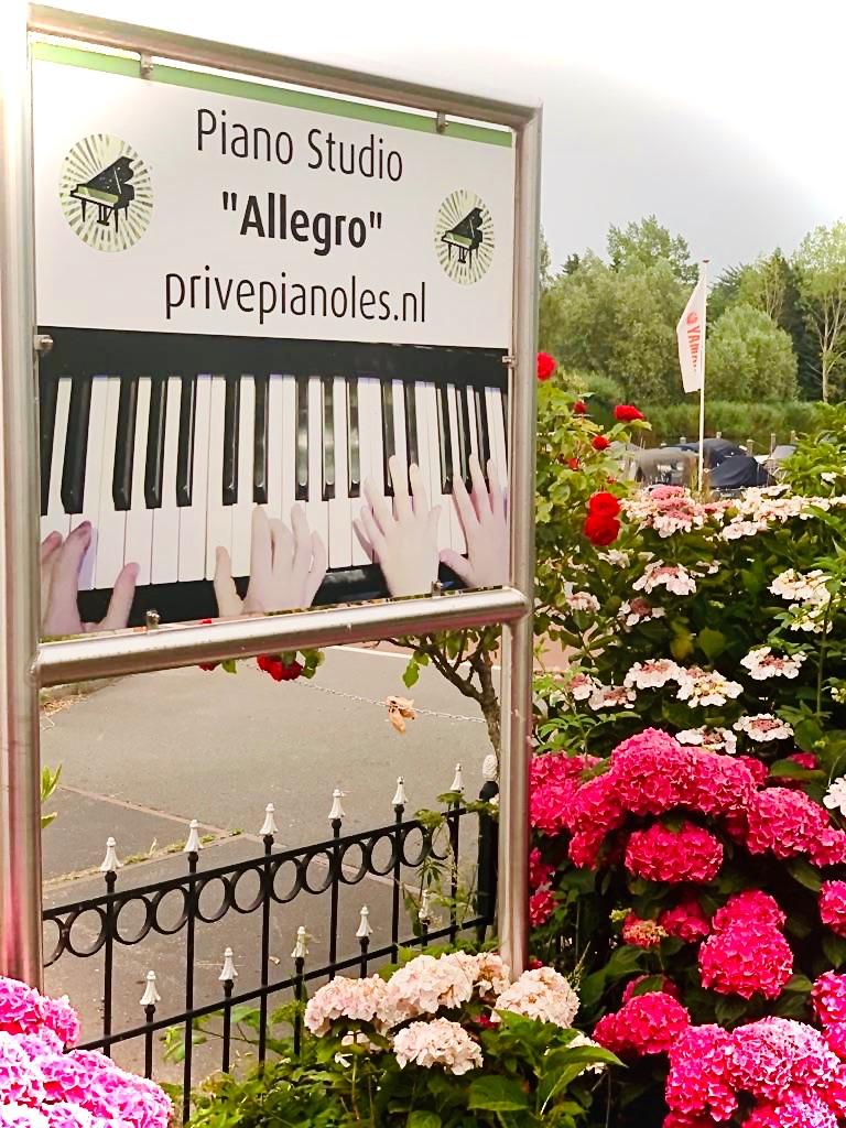 Pianoles Zaandam Oostzaan, Boeken, Ophalen of Verzenden, Zo goed als nieuw, Overige onderwerpen