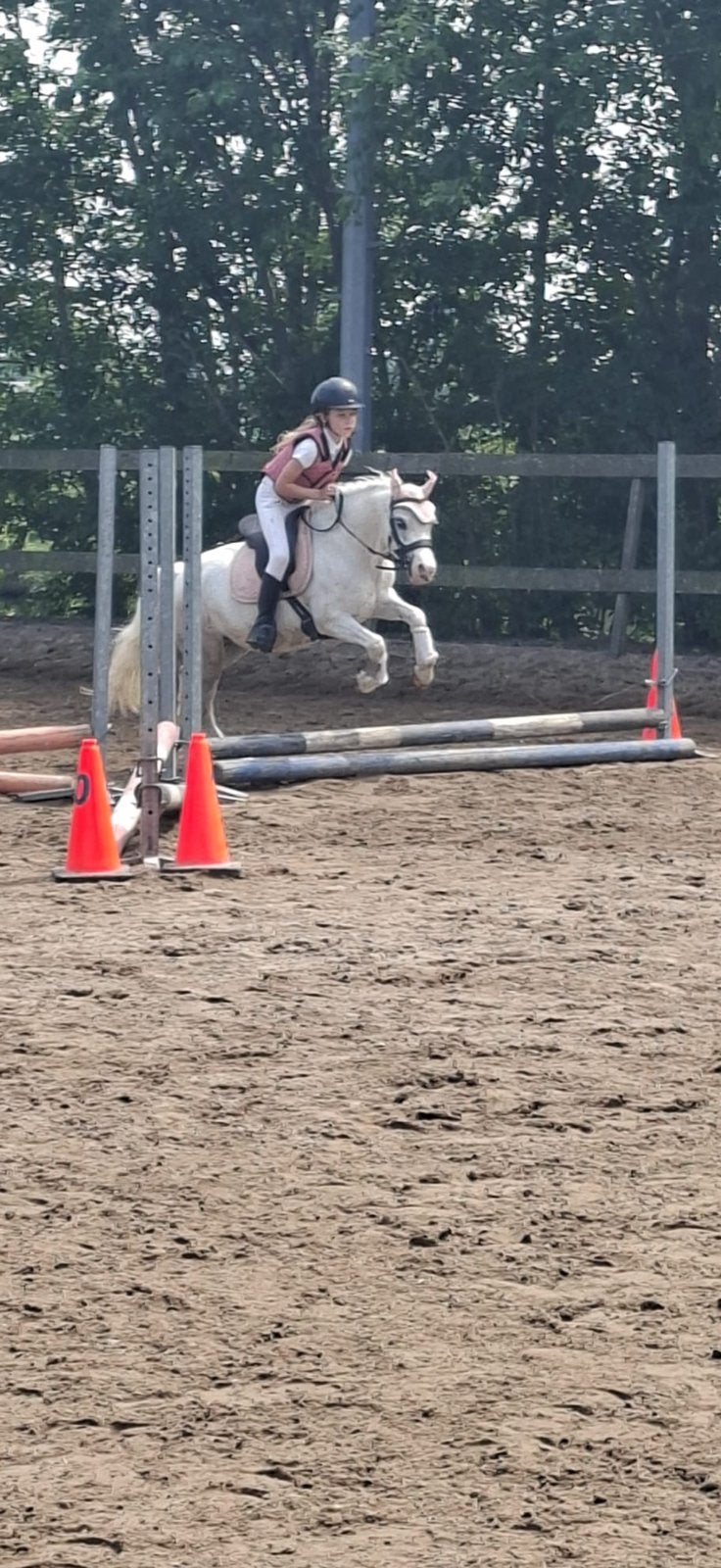 Welsh merrie 115 voor beginners !, Dieren en Toebehoren, Pony's, Merrie, Met stamboom, Zadelmak, A pony (tot 1.17m)
