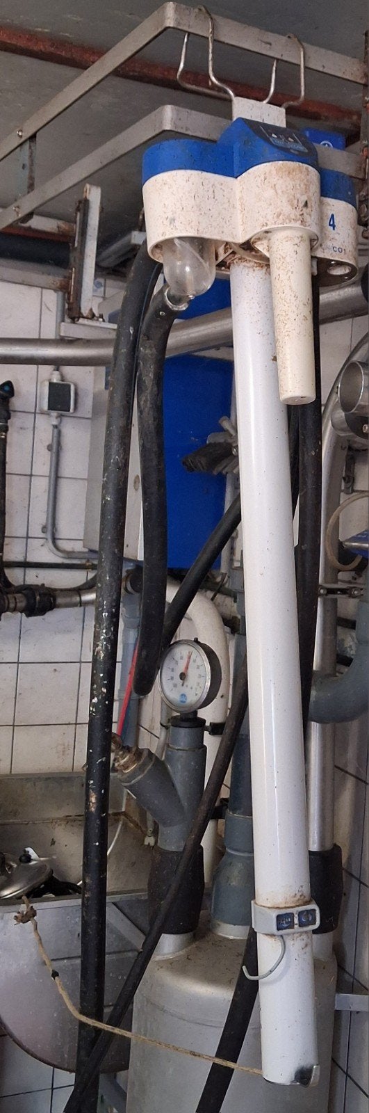 gezocht unico1 1 stuks melkstel grupstal, Dieren en Toebehoren, Ophalen, Gebruikt