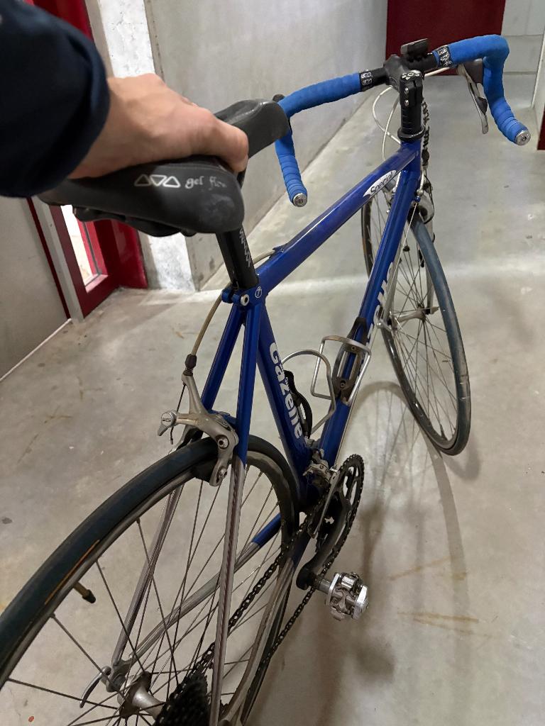 gazelle champion mondial, Ophalen, 28 inch, Gebruikt, Velgrem