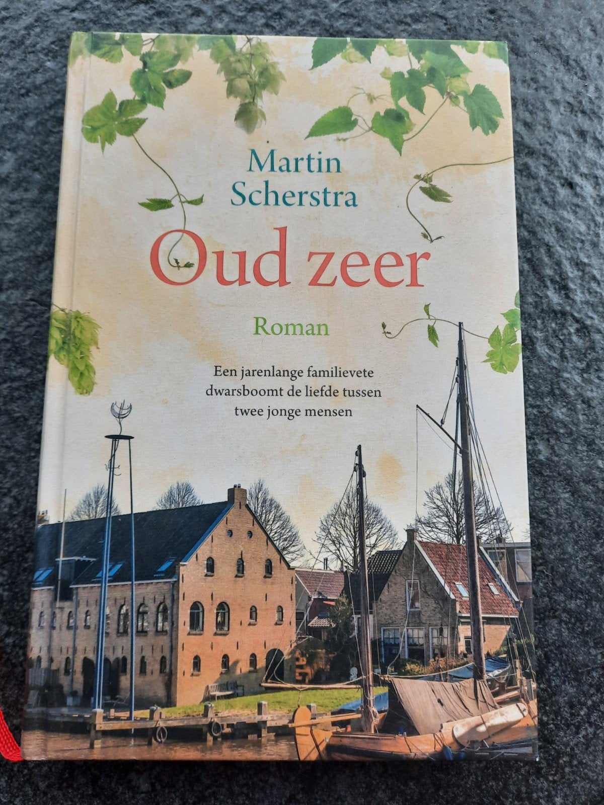 Martin Scherstra - Oud zeer, Boeken, Noord-Brabant, Martin Scherstra, Ophalen of Verzenden, Zo goed als nieuw