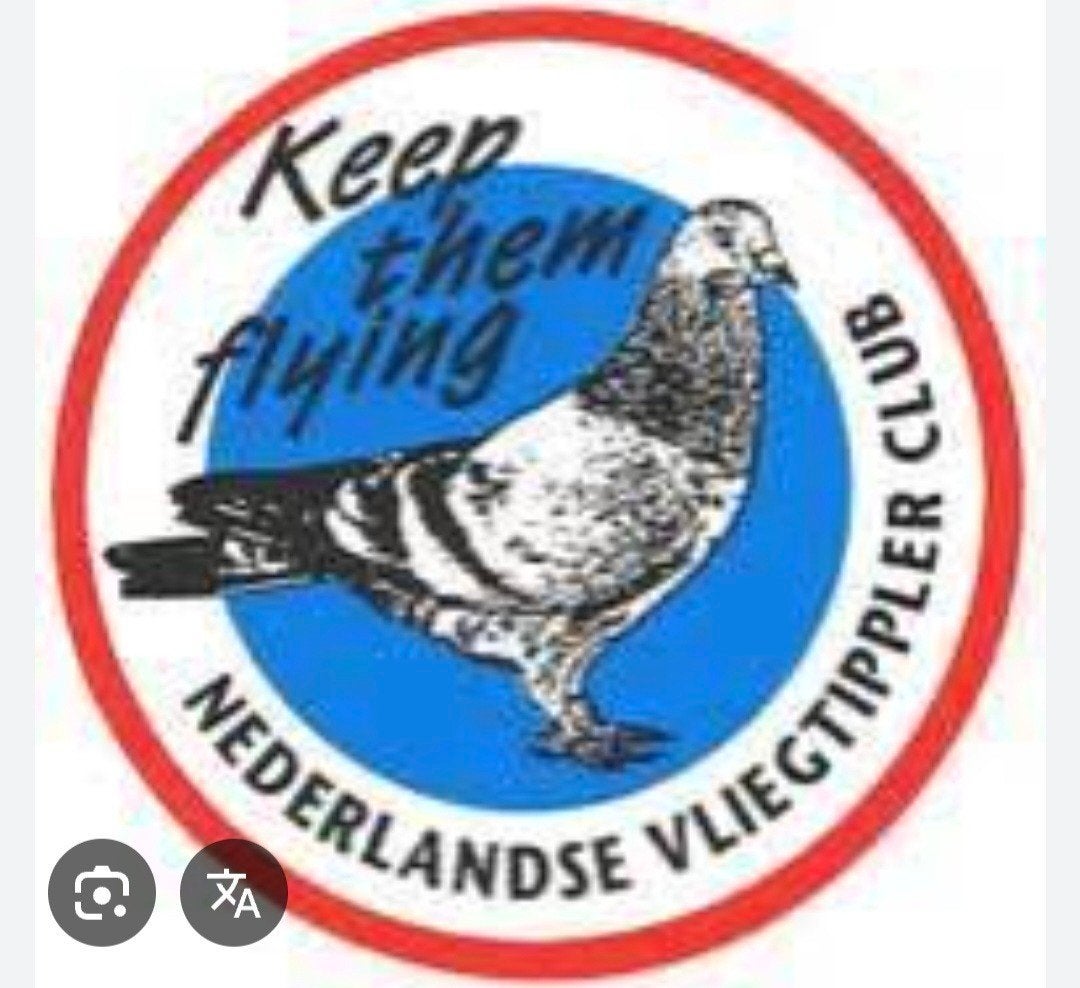 Gezocht vliegtipplers, Dieren en Toebehoren, Vogels | Duiven, Meerdere dieren, Overige soorten