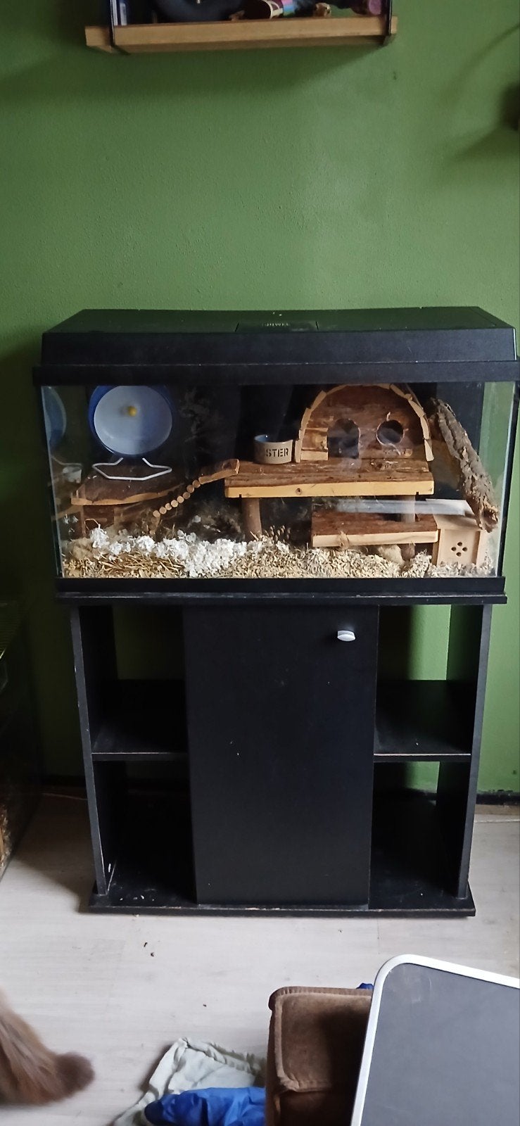 mooi knaagdieren hok, Ophalen, 90 cm of meer, Muis, Hok