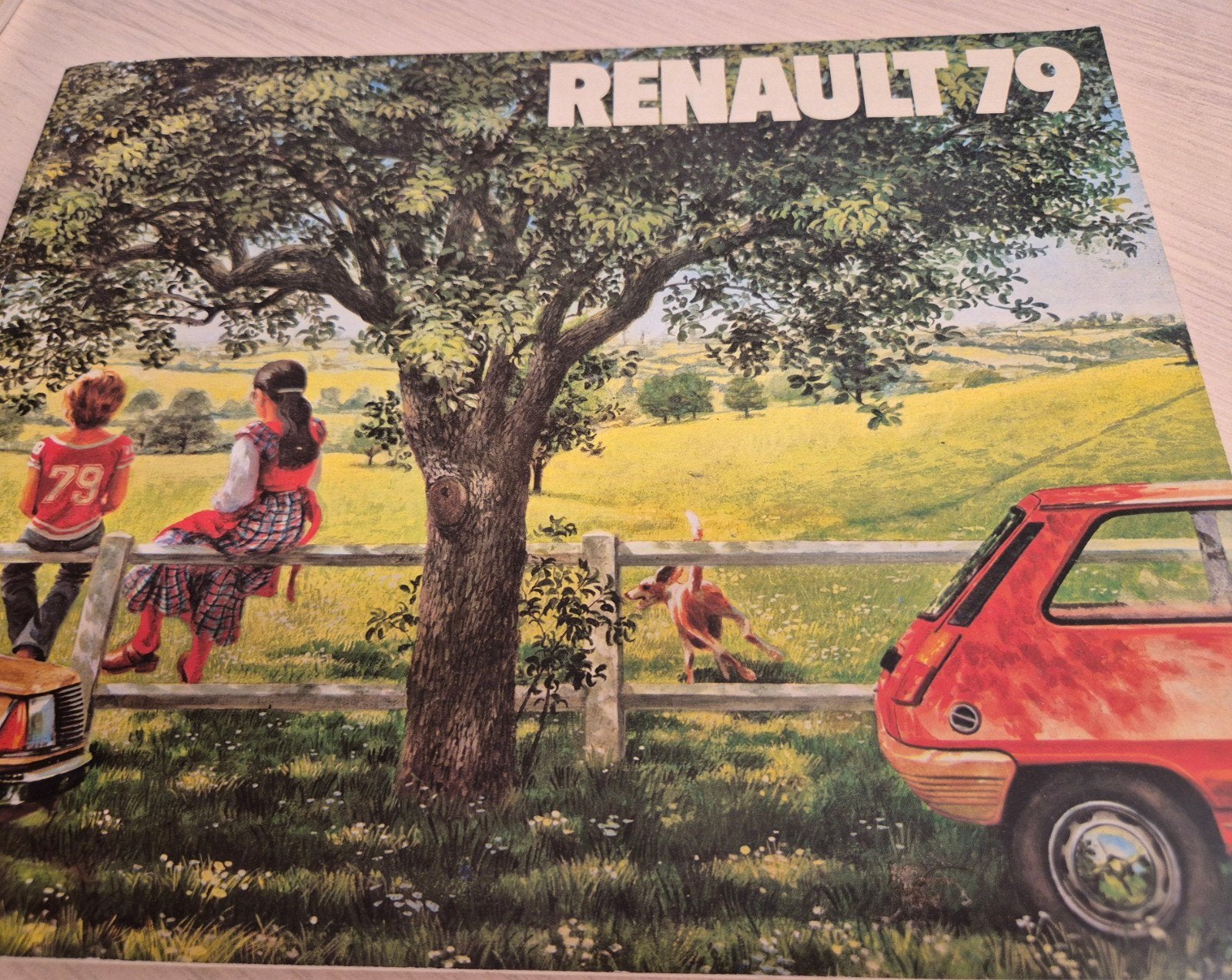 1979 boek Nederlands alle Renault Alpine V6 Estafette folder, Ophalen of Verzenden, Zo goed als nieuw, Renault