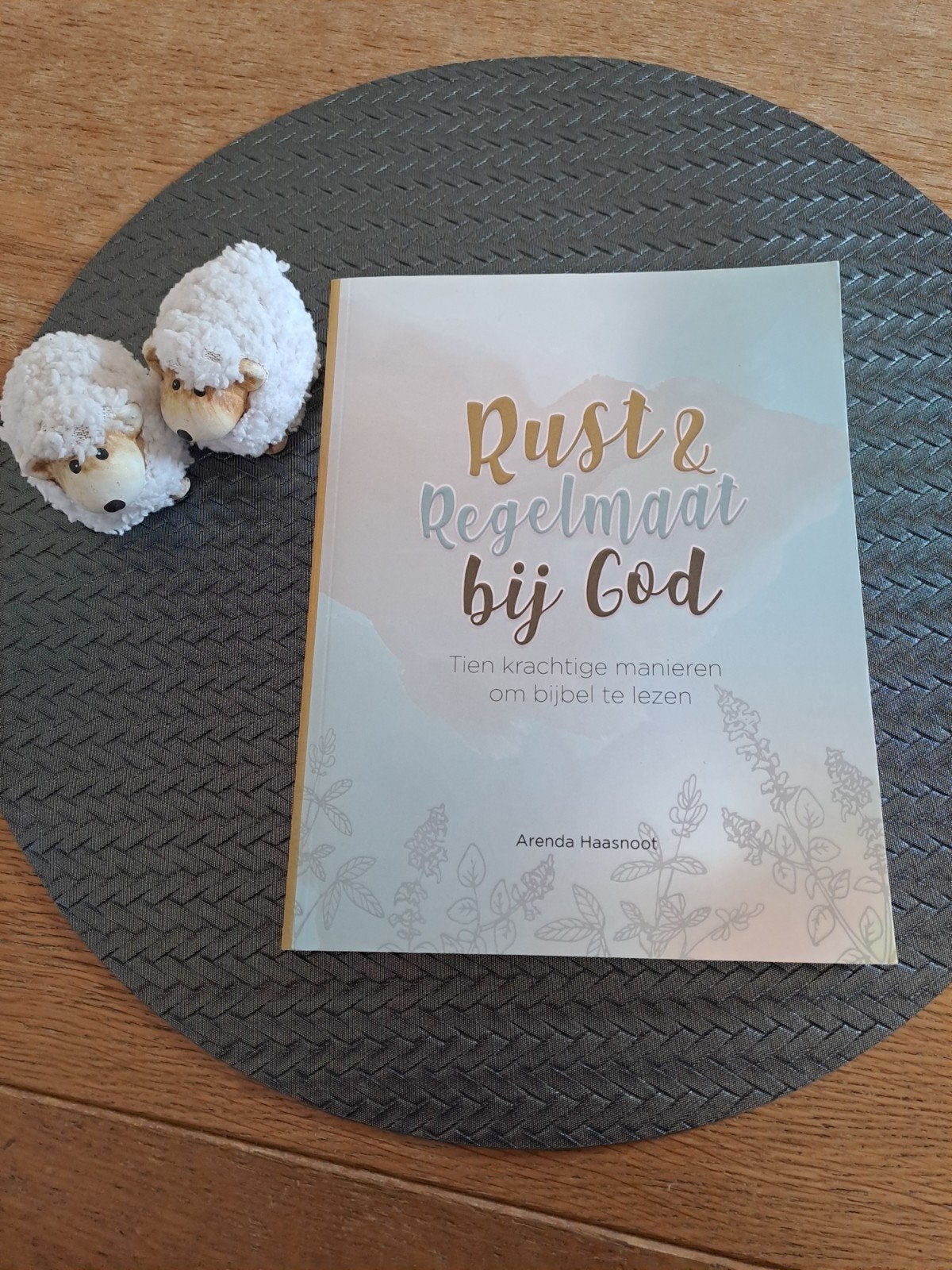 Rust & Regelmaat bij God - Arenda Haasnoot, Ophalen of Verzenden
