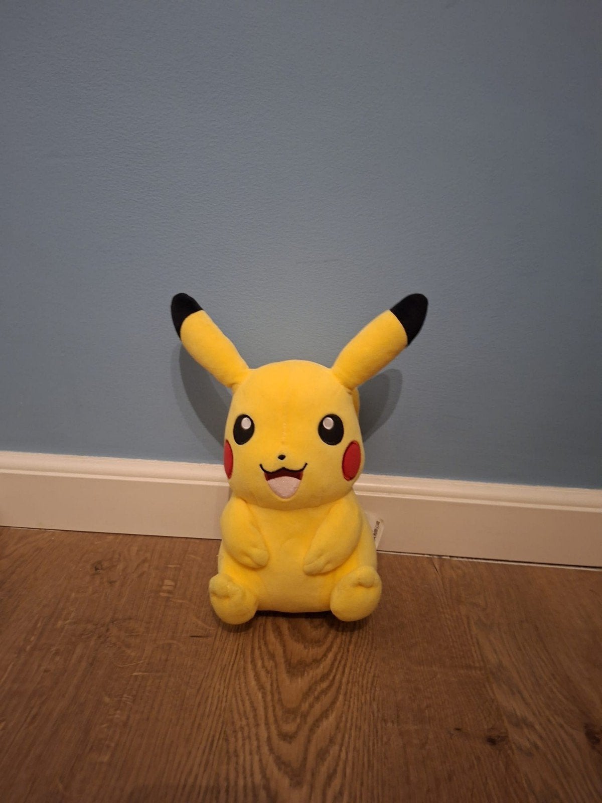 Diverse knuffels: Pokémon, Star Wars, Capybara en meer!, Kinderen en Baby's, Speelgoed | Knuffels en Pluche, Gebruikt, Overige merken