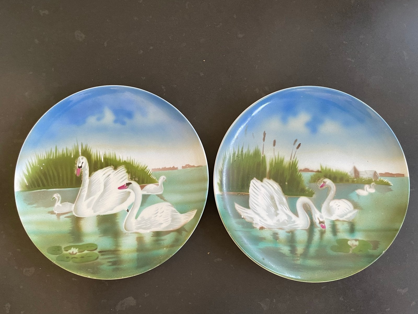 Set van 2 decoratieve borden met zwanenmotief, Ophalen