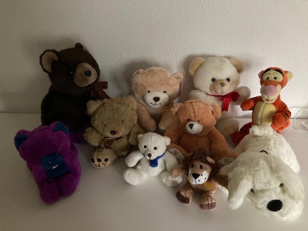 Verschillende knuffels, beertjes, kat etc., Overige karakters, Beer, Nieuw, Ophalen of Verzenden