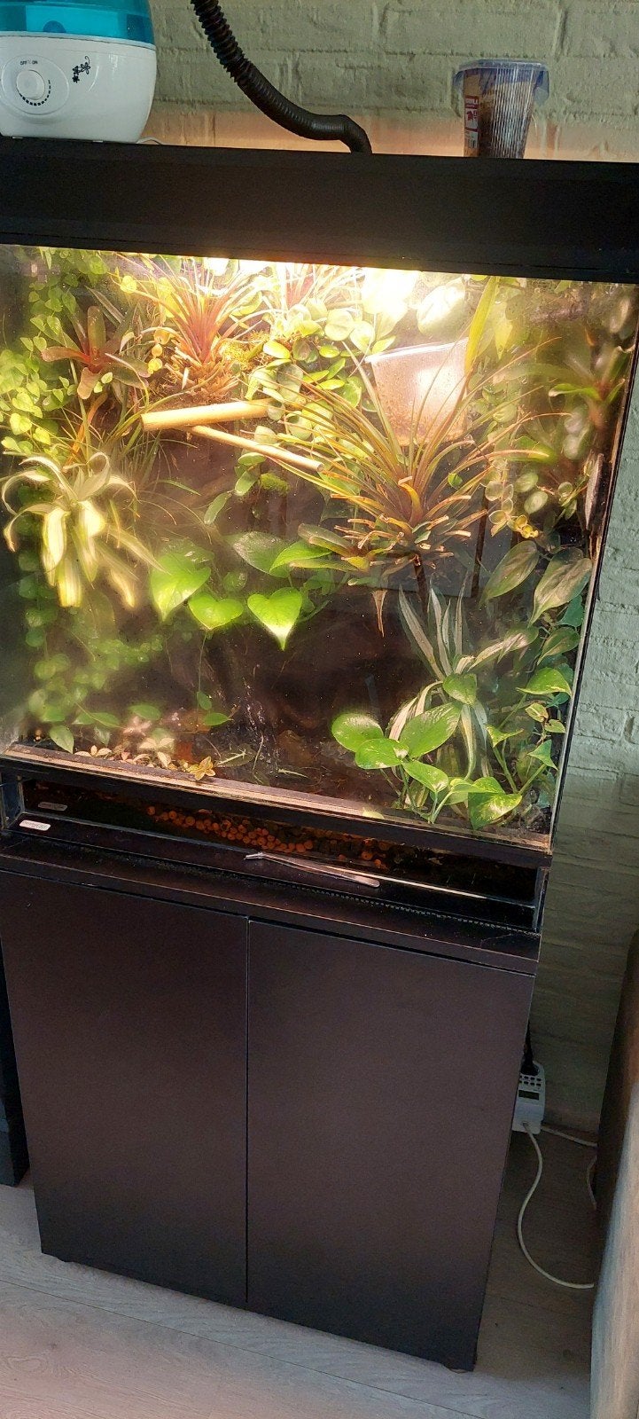Paludarium compleet, Ophalen, Gebruikt, Terrarium of Paludarium