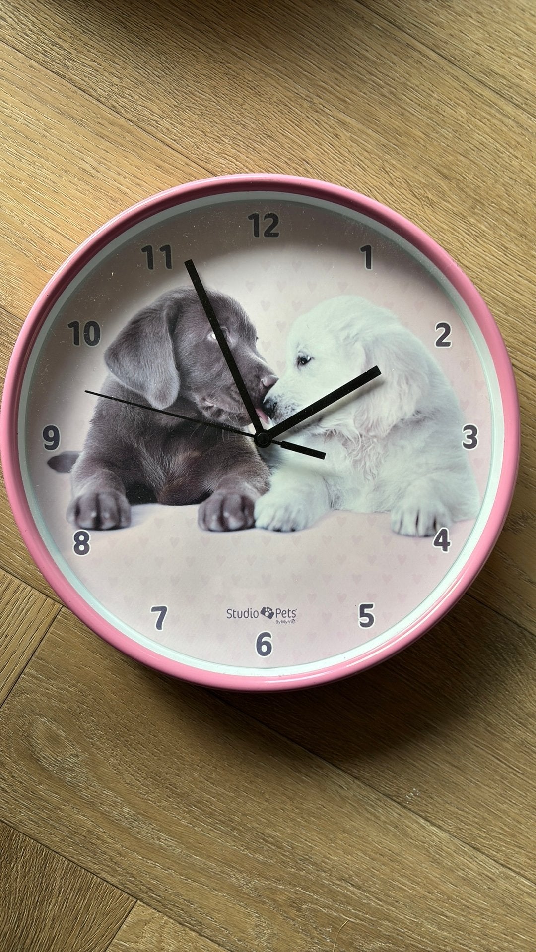 Studio pets wandklok, Ophalen, Zo goed als nieuw, Wandklok