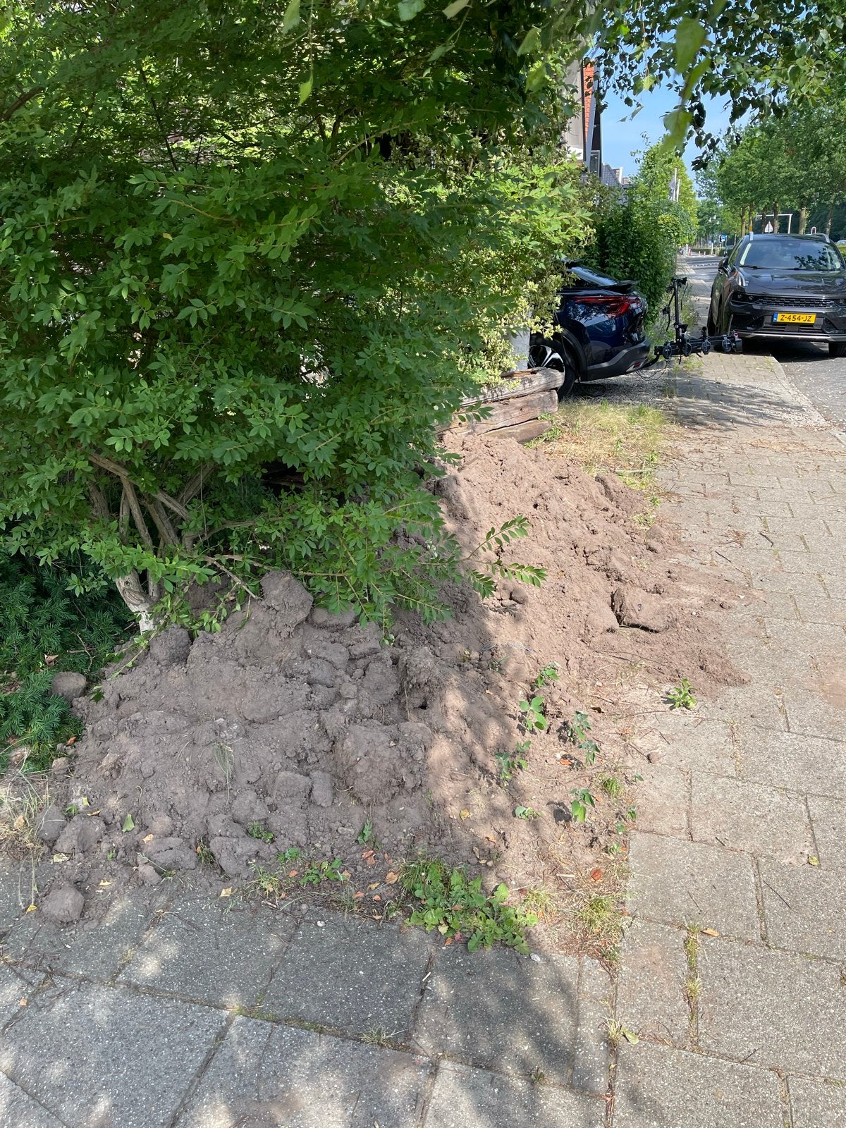 Gratis zwarte grond af te halen (ca. 2,5 kuub), Tuin en Terras, Ophalen of Verzenden, Gebruikt, Overige typen