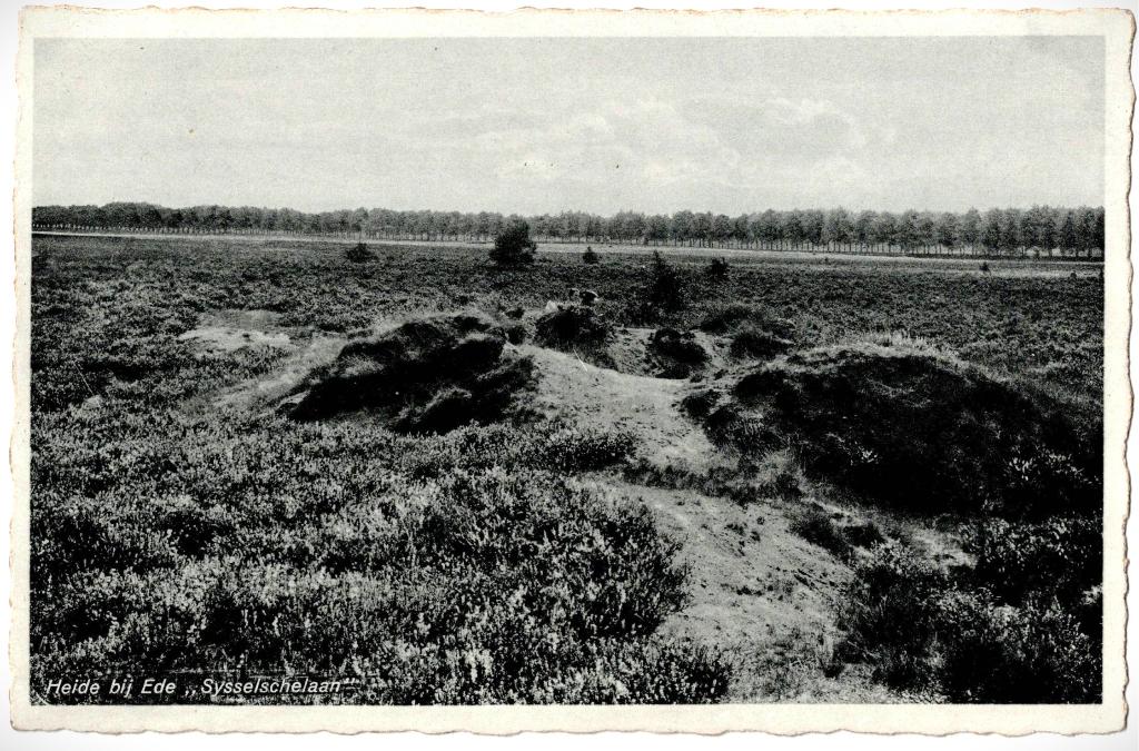 Ede, heide bij Sysselschelaan, ongelopen, richtprijs 2,50, Verzenden, 1940 tot 1960, Ongelopen, Gelderland