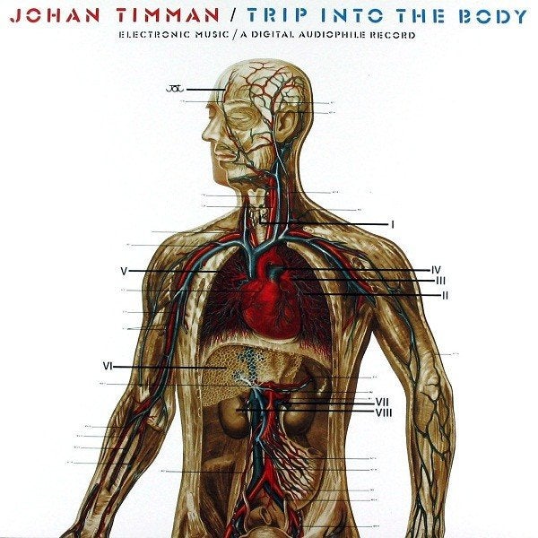 Johan Timman – Trip Into The Body, LP, Gebruikt, Ophalen of Verzenden, 12 inch