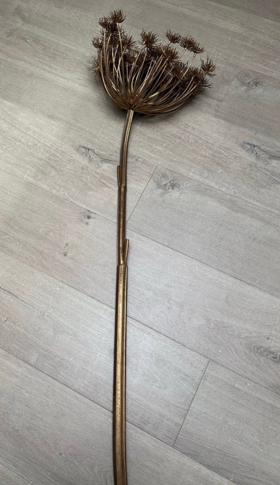 Grote Gouden Kunst Berenklauw Tak - Decoratief, Ophalen, Zo goed als nieuw, Goud, Metaal
