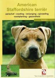 American Staffordshine Terrier Over Dieren boek, Verzenden, Zo goed als nieuw, Honden