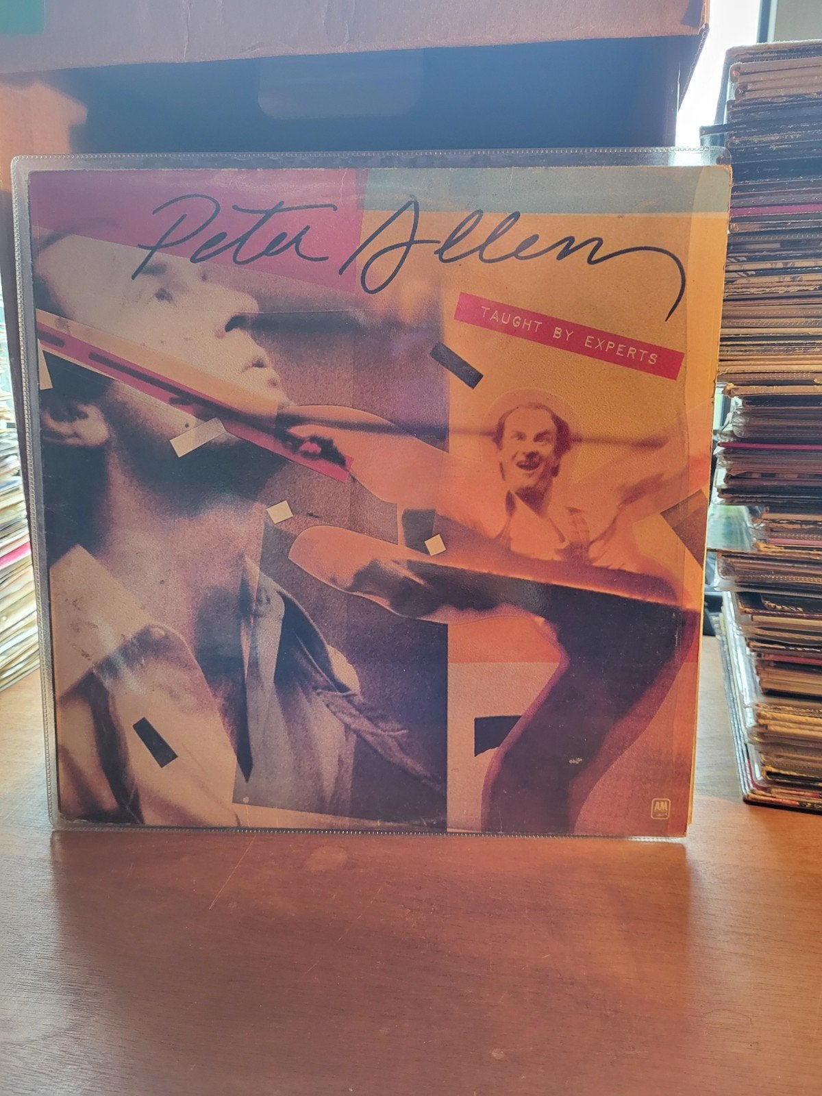 Peter Allen-Taught By Experts (9), Ophalen of Verzenden