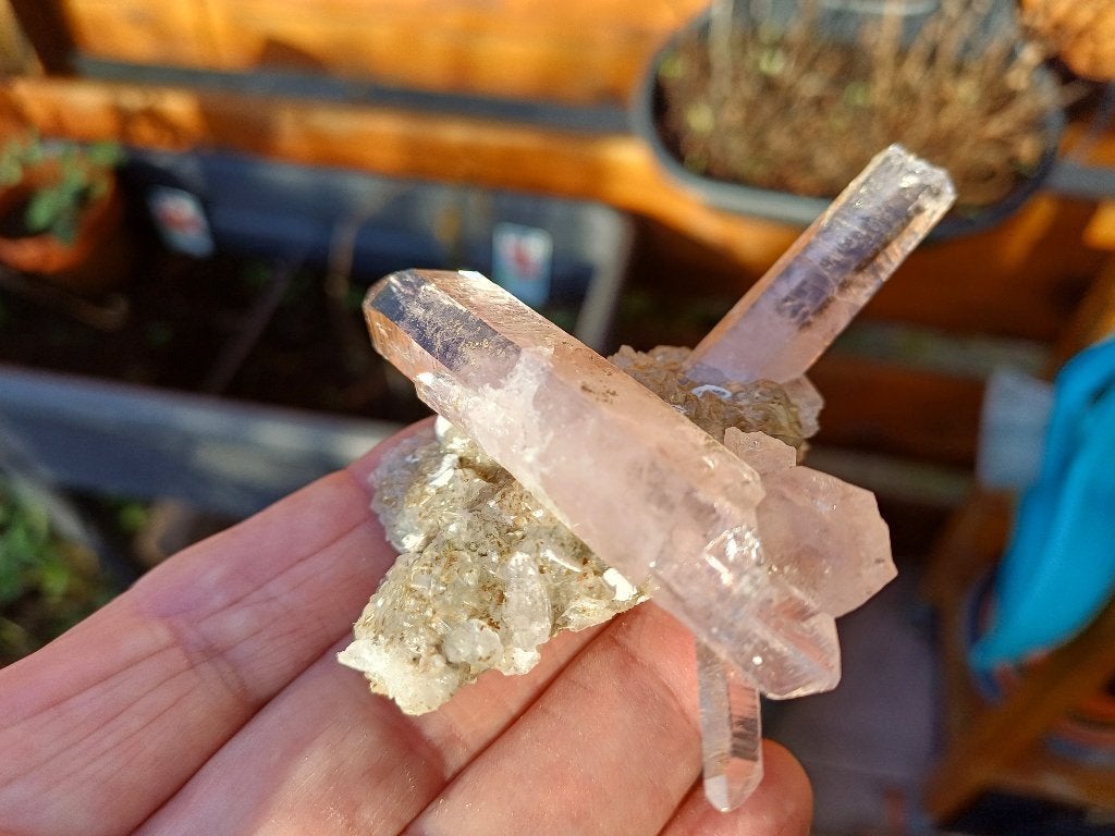VC6 Amethyst Mine de Vera Cruz Las Vigas de Ramirez Mexico, Ophalen of Verzenden, Mineraal
