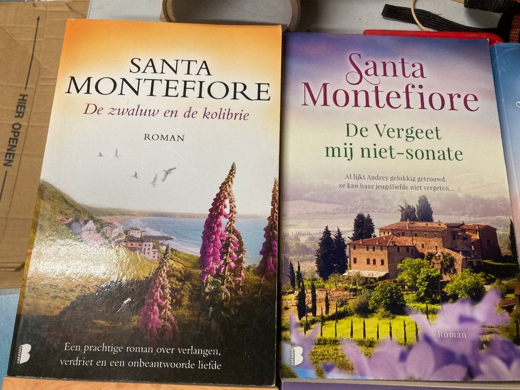 T.K. nog 10 boeken van Santa Montefiore Zie actuele lijst, Boeken, Ophalen of Verzenden, Gelezen, Santa Montefiore