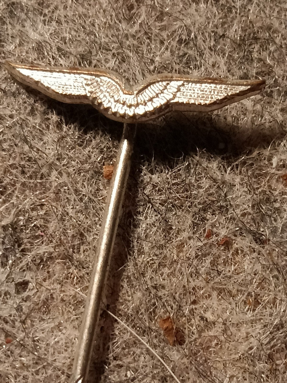 zilveren  piloten insigne luchtmacht, Ophalen of Verzenden, Luchtmacht, Amerika, Embleem of Badge