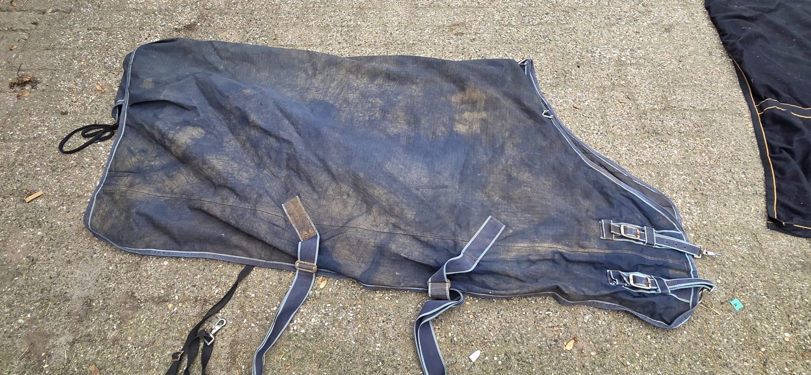 300 grams paarden deken 175cm, Ophalen of Verzenden, Gebruikt, Blauw, Deken