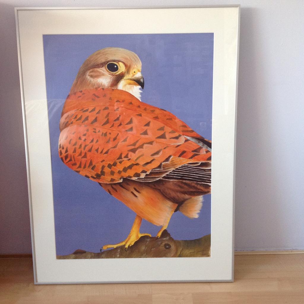 Groot schilderij Torenvalk, Ophalen