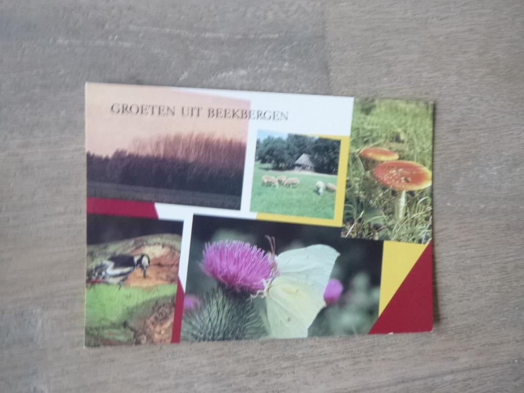 Beekbergen, groeten uit/schapen, Verzenden, 1980 tot heden, Gelopen, Gelderland