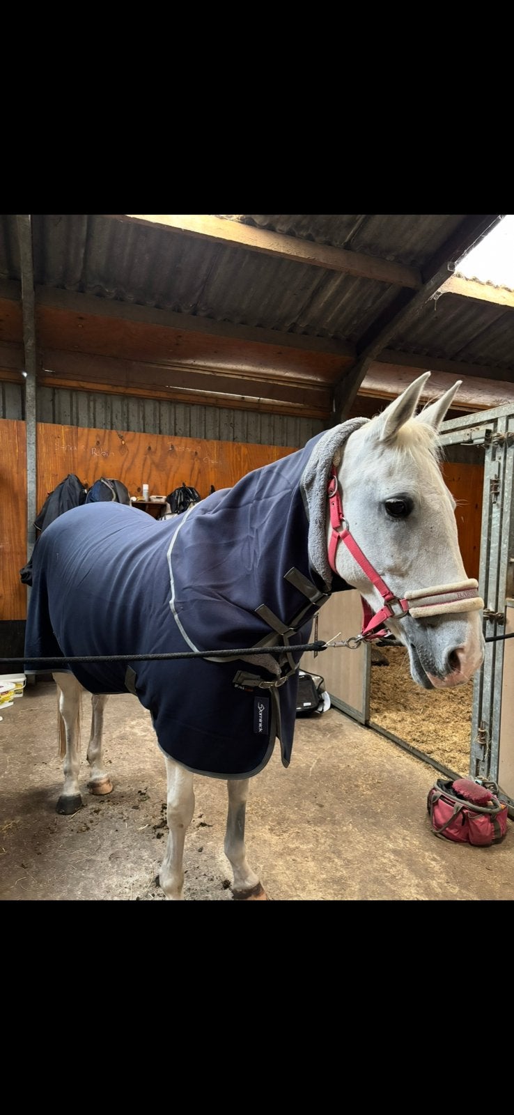Dominick Cosy Fleece deken maat L (200cm) met halsstuk, Dieren en Toebehoren, Paarden en Pony's | Dekens en Dekjes, Full (L), Overige merken