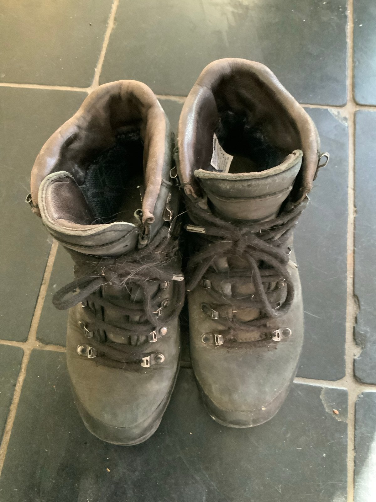Meindl Gore-Tex Wandelschoenen - Maat 37, Ophalen of Verzenden, Gebruikt, Schoenen