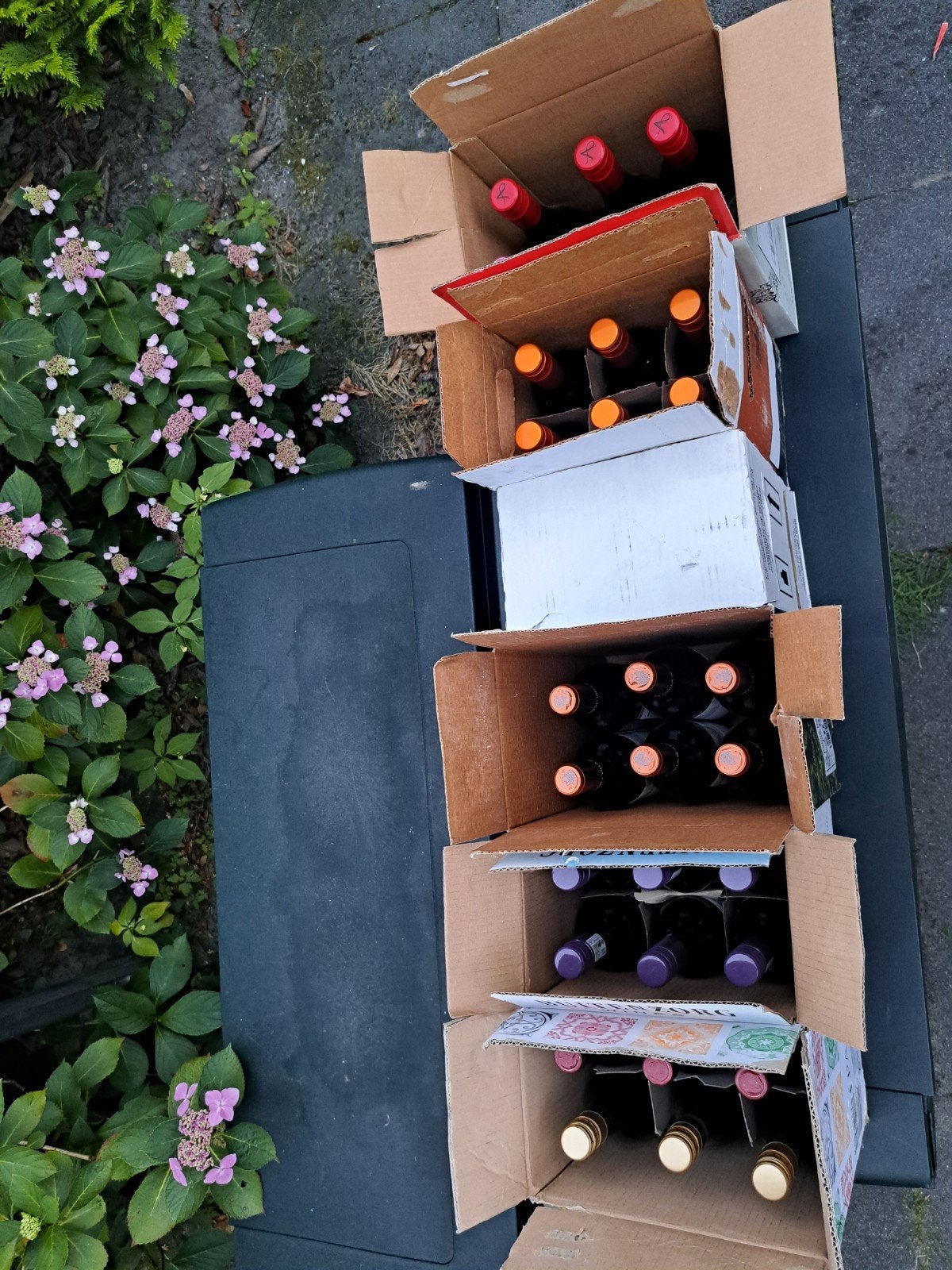 36 Diverse Wijnen uit de Wijnkelder - Rode, Witte & Rosé, Ophalen, Gebruikt, Rode wijn