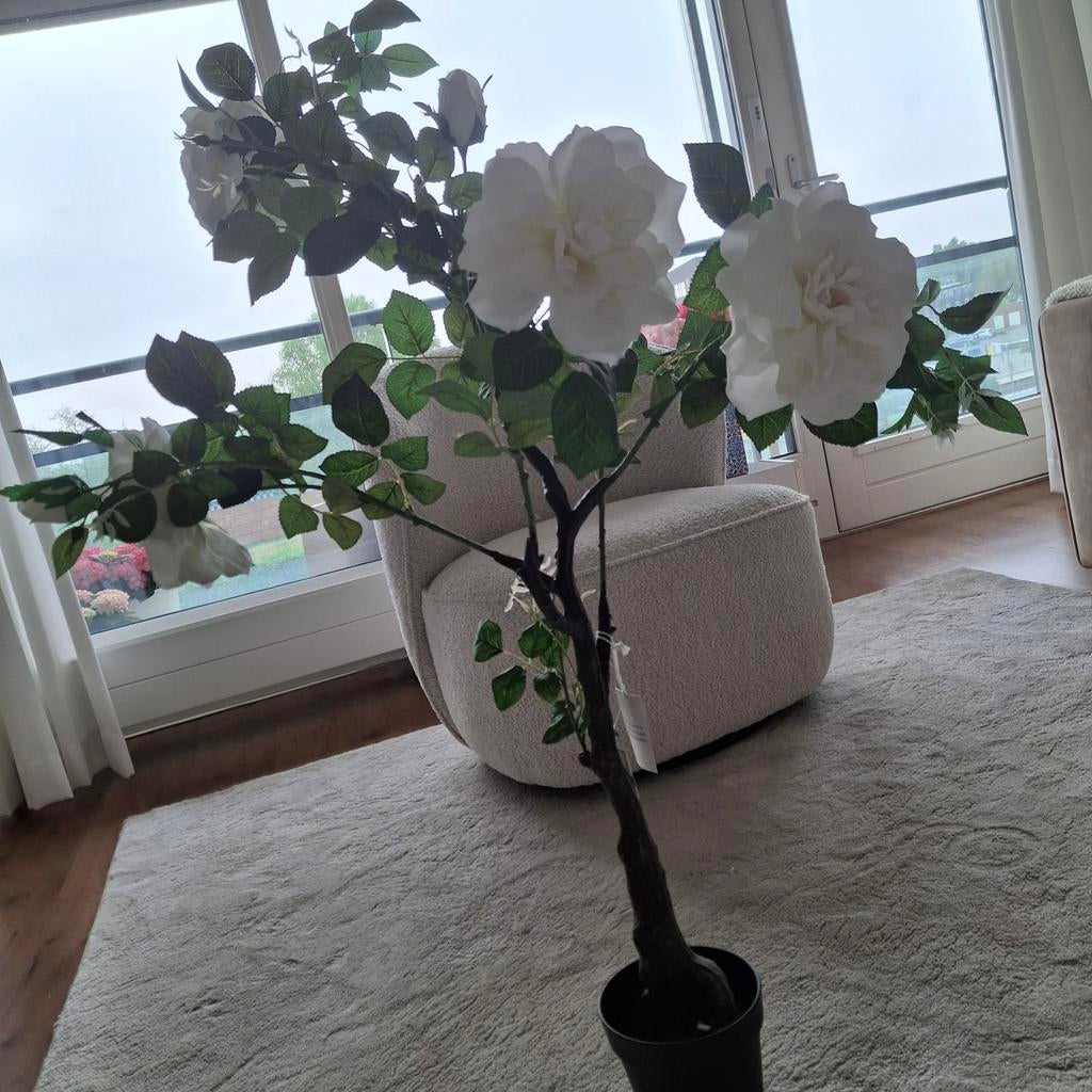 Kunstplant tuin wit rozen., Ophalen