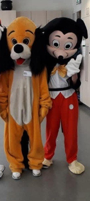 Honden- en Mickey Mouse-pakken te koop, Kleding | Dames, Ophalen of Verzenden, Gedragen, Overige thema's, Kleding