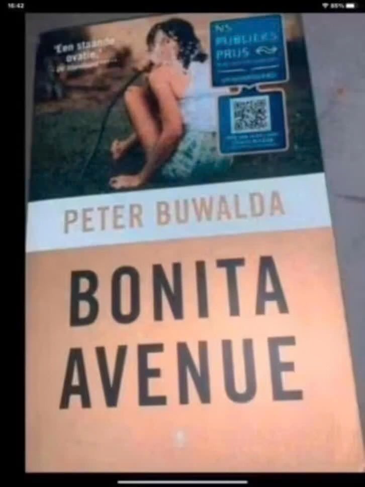 Bonita Avenue - Peter Buwalda (NS Publieksprijs), Gelezen, Ophalen of Verzenden, Nederland, Peter Buwalda
