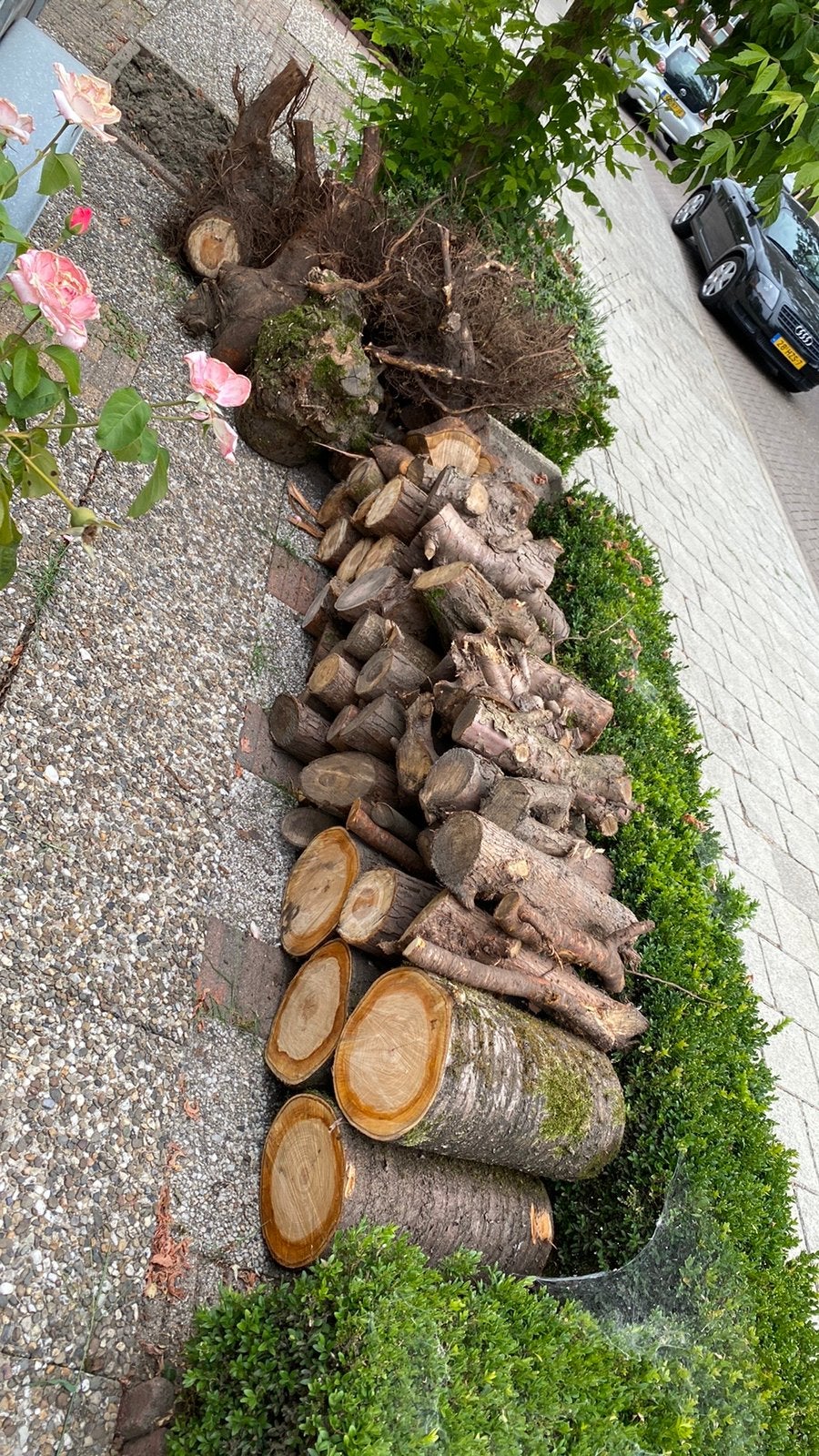 Gratis haardhout alles in een keer menenen, Tuin en Terras, Minder dan 3 m³, Ophalen