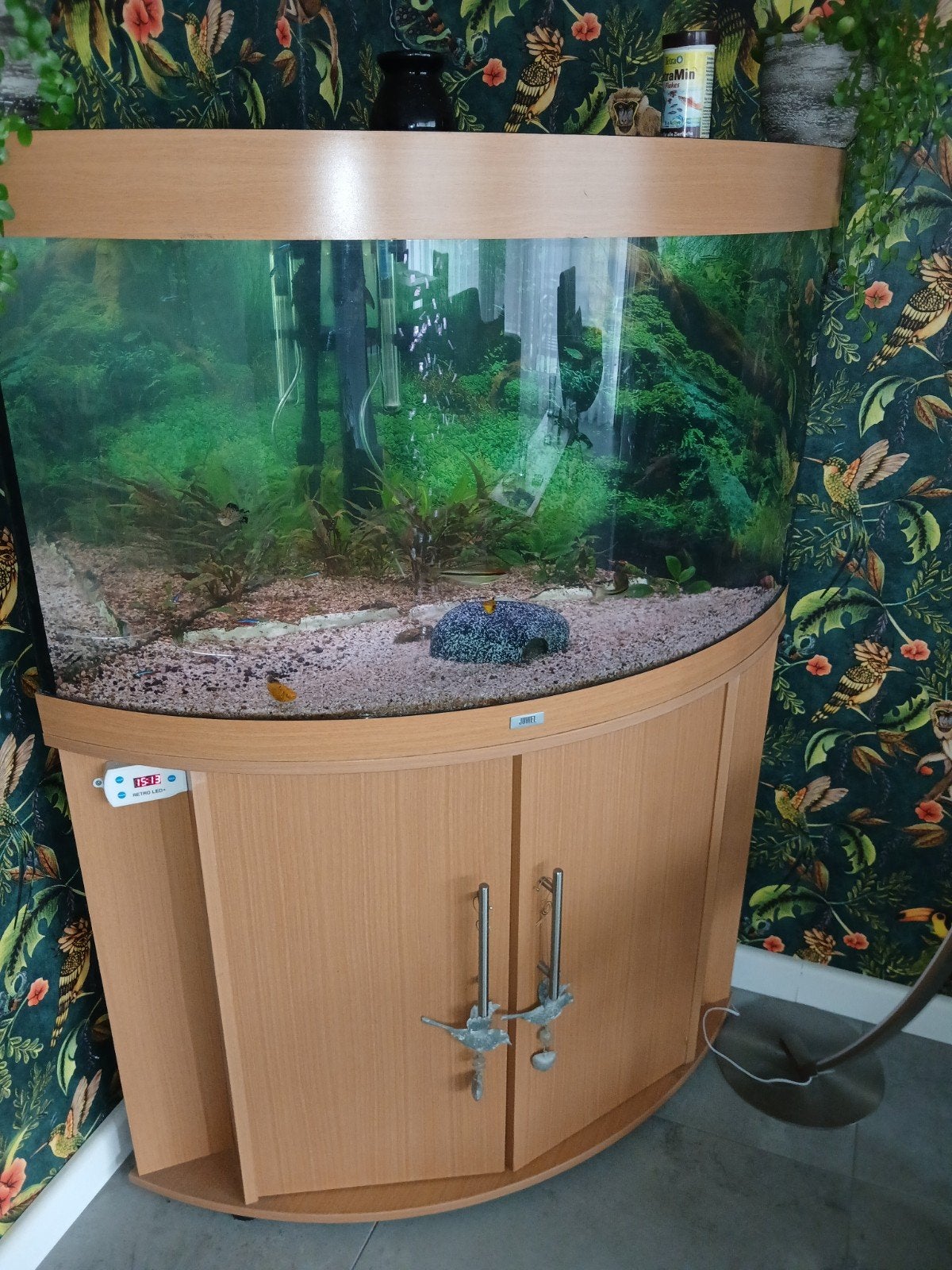 Juwel Trigon 90 hoek aquarium, Dieren en Toebehoren, Ophalen, Gevuld zoetwateraquarium