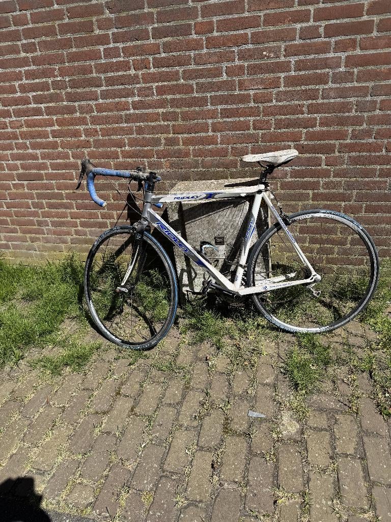 Ridley dames racefiets, 28 inch, Velgrem, Meer dan 20 versnellingen, Ophalen
