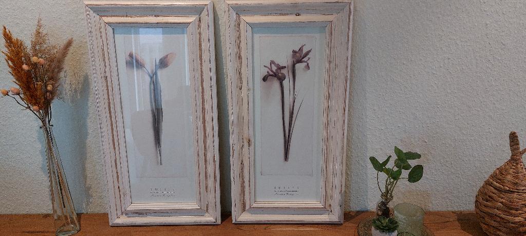 Mooie lijsten / schilderijen - Met bloemen, Ophalen of Verzenden