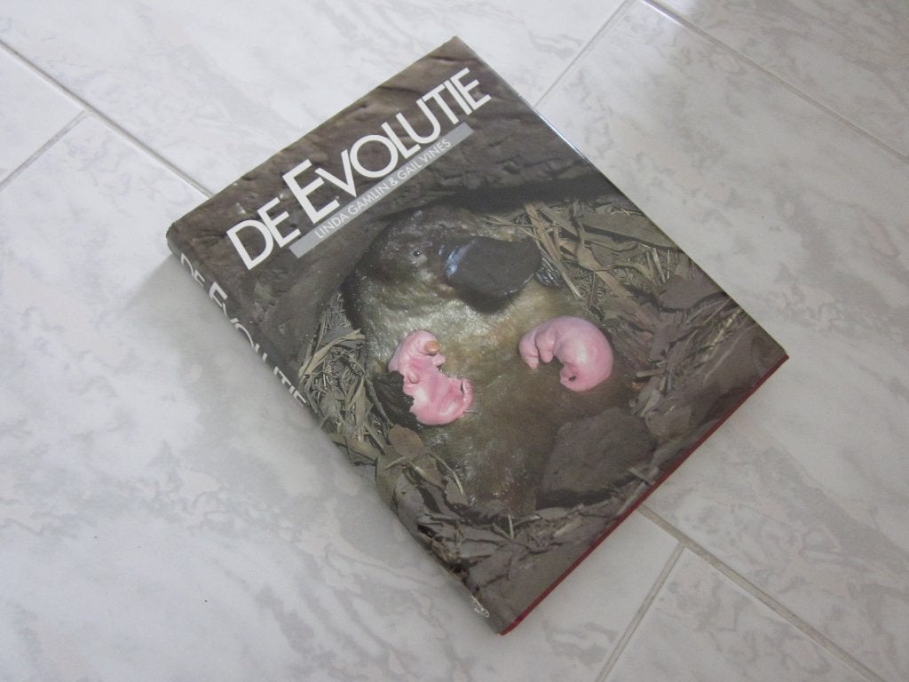L. Gamlin De evolutie elsevier, 1988, 248pp. Mooi!, 20e eeuw of later, L. Gamlin, Overige gebieden, Ophalen of Verzenden