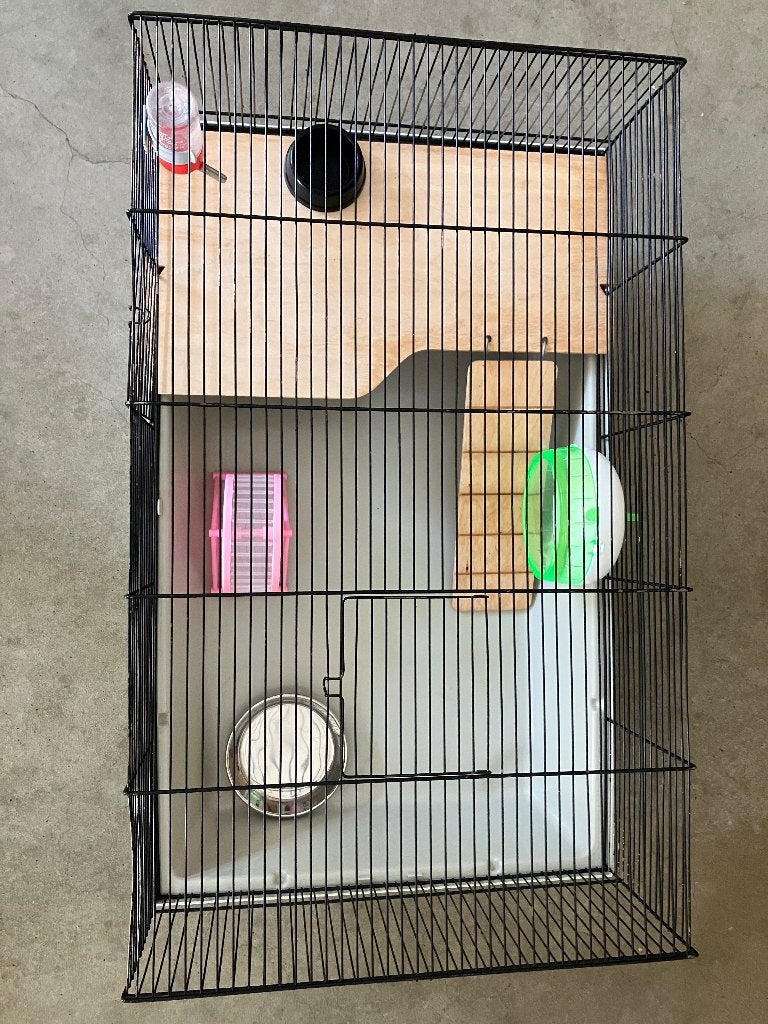 Hamsterkooi + eten en speeltjes, Dieren en Toebehoren, Minder dan 60 cm, Kooi, Minder dan 75 cm, Ophalen of Verzenden