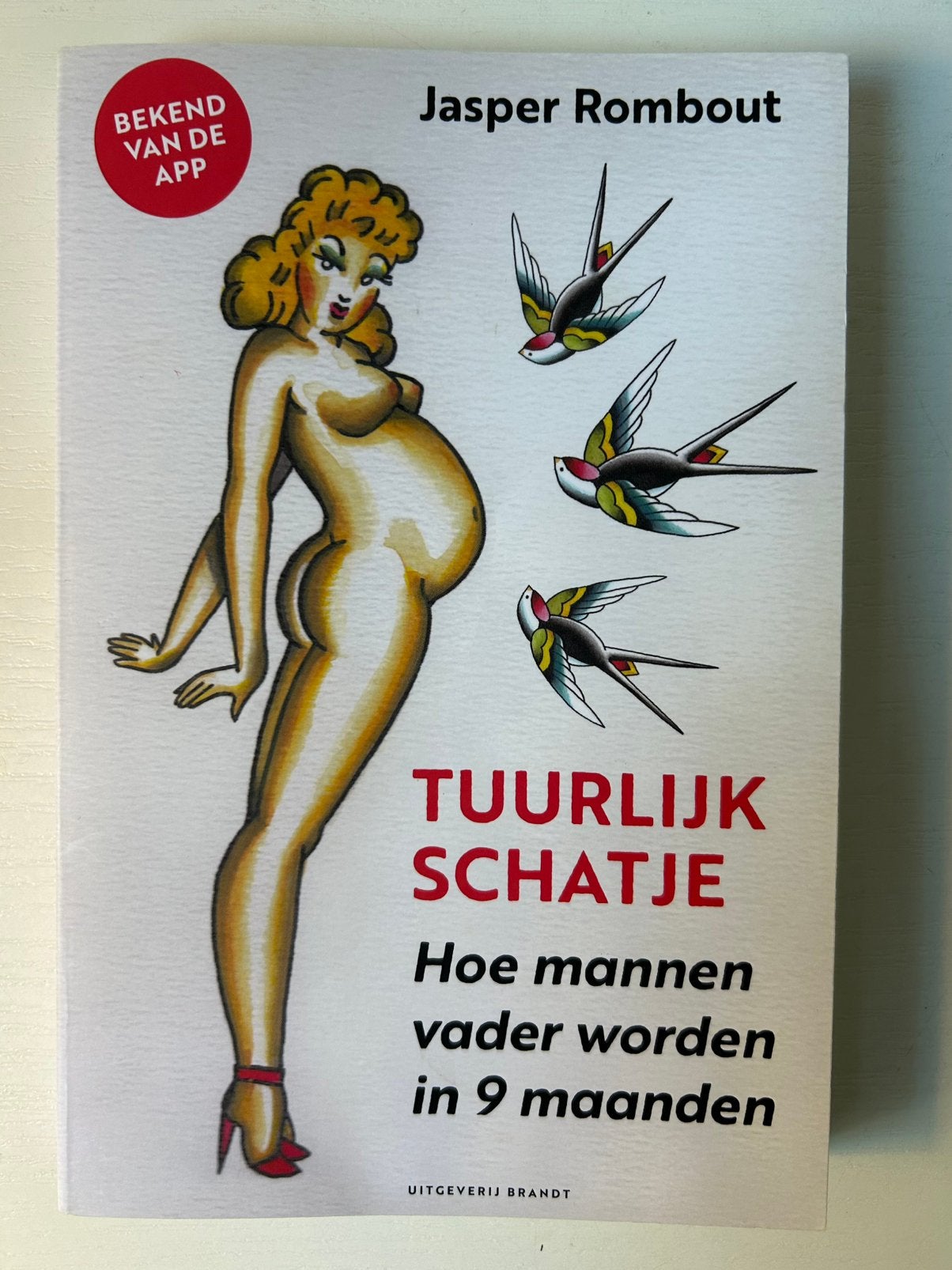 Jasper Rombout - Tuurlijk schatje, Boeken, Gelezen, Zwangerschap en Bevalling, Ophalen of Verzenden, Jasper Rombout