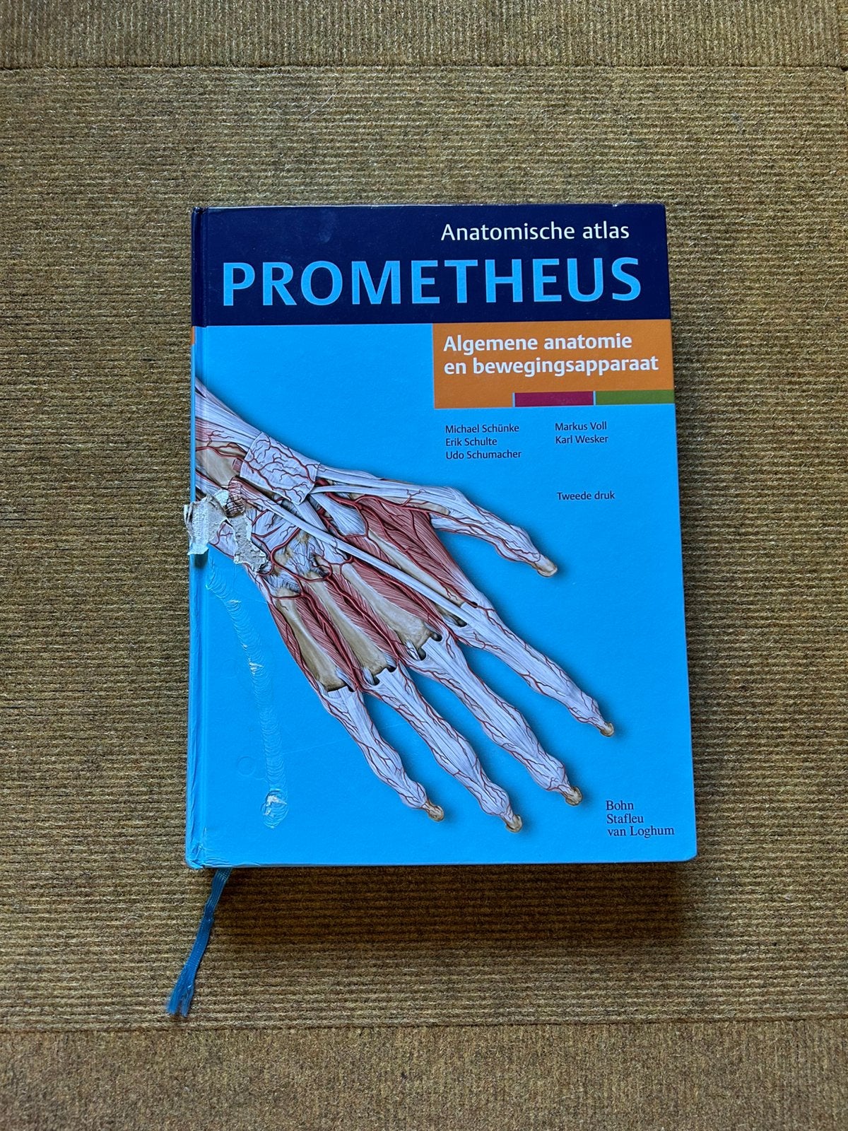 Prometheus- Algemene anatomie en bewegingsapparaat, Gelezen, Ophalen of Verzenden, Michael Schunke; Udo Schumacher; Erik Schulte