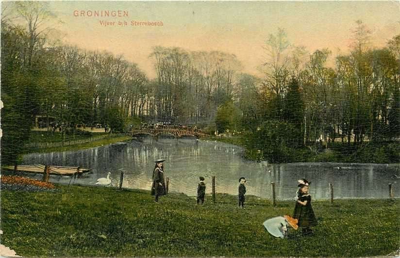 300-111-011 Groningen Vijver b/h Sterrebosch, Verzenden, Voor 1920, Groningen
