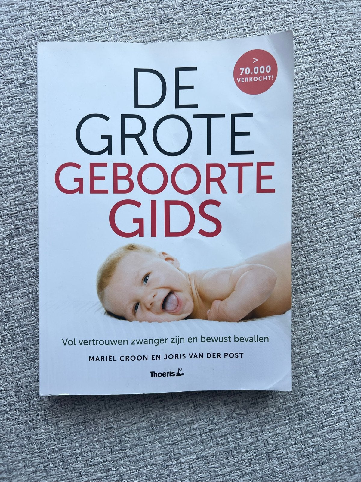 De Grote Geboorte Gids - Zwangerschap en Bevalling, Ophalen of Verzenden, Zo goed als nieuw, Zwangerschap en Bevalling