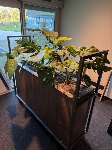 Luxe design plantenbakken inclusief planten, Ophalen, 100 cm of meer, Nieuw, Binnen
